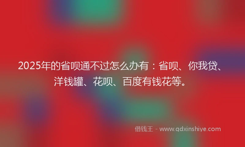 2025年的省呗通不过怎么办有：省呗、你我贷、洋钱罐、花呗、百度有钱花等。
