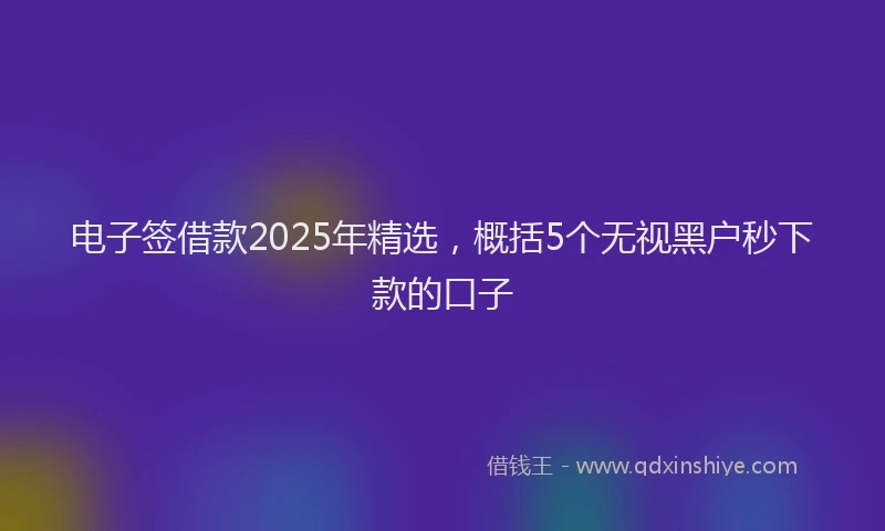 电子签借款2025年精选，概括5个无视黑户秒下款的口子