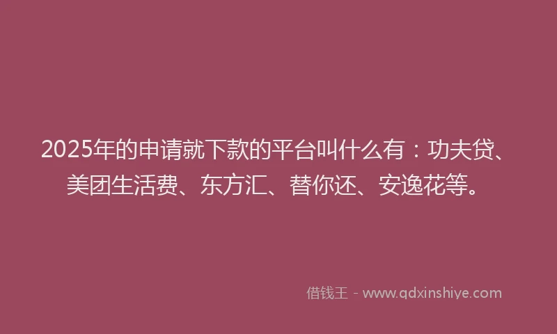 2025年的申请就下款的平台叫什么有：功夫贷、美团生活费、东方汇、替你还、安逸花等。