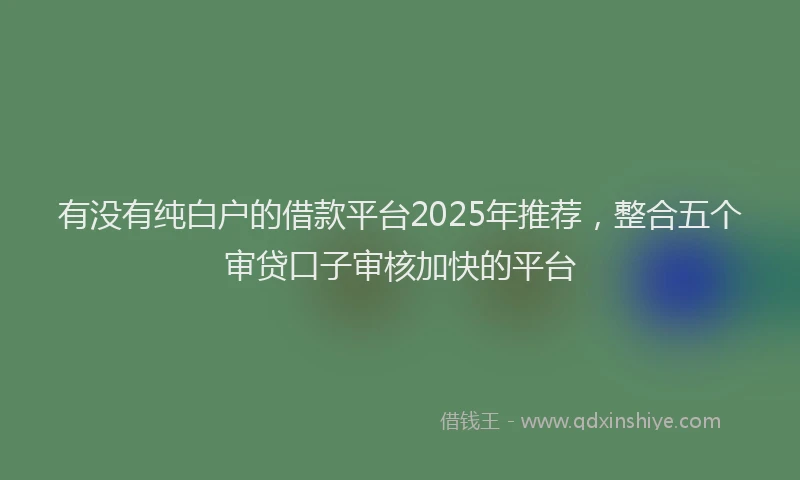 有没有纯白户的借款平台2025年推荐，整合五个审贷口子审核加快的平台