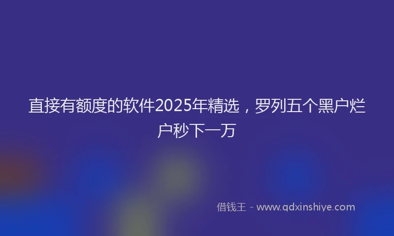 直接有额度的软件2025年精选，罗列五个黑户烂户秒下一万
