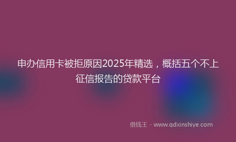 申办信用卡被拒原因2025年精选，概括五个不上征信报告的贷款平台