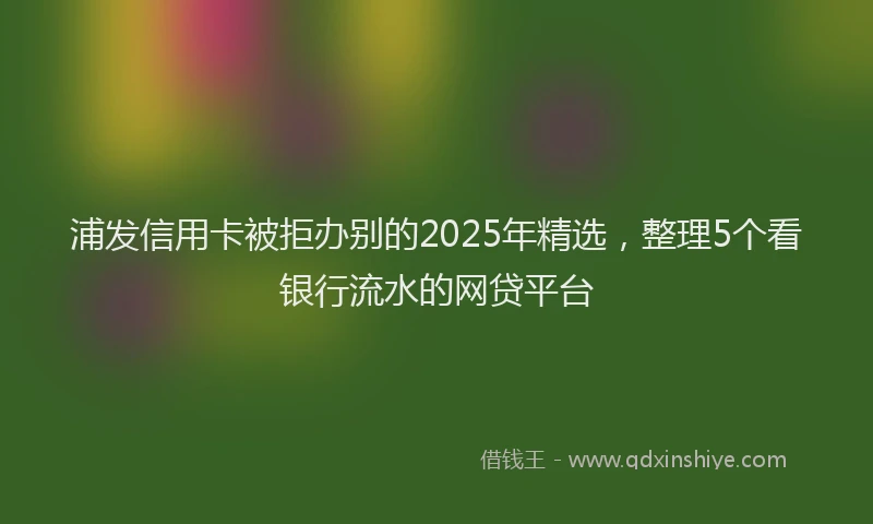 浦发信用卡被拒办别的2025年精选，整理5个看银行流水的网贷平台