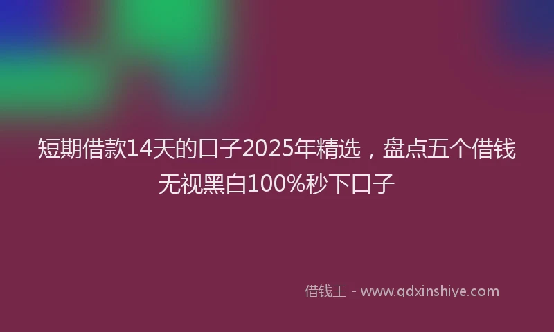 短期借款14天的口子2025年精选，盘点五个借钱无视黑白100%秒下口子