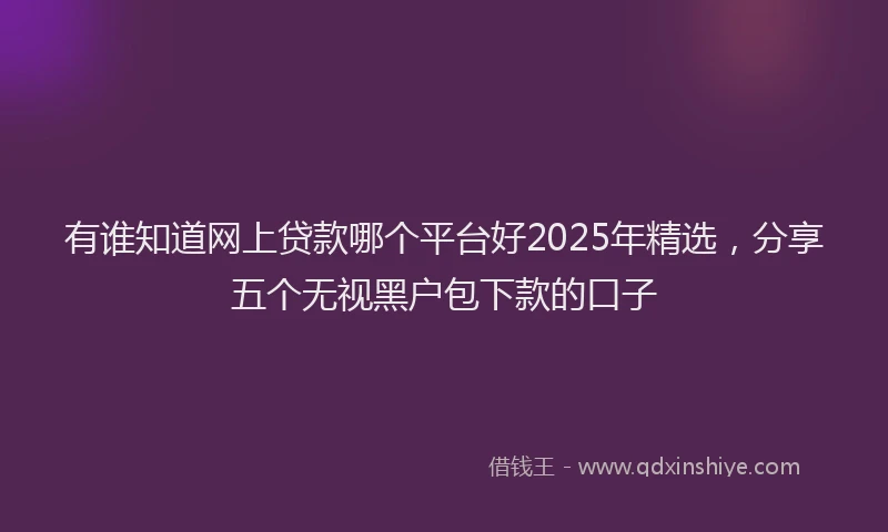 有谁知道网上贷款哪个平台好2025年精选，分享五个无视黑户包下款的口子