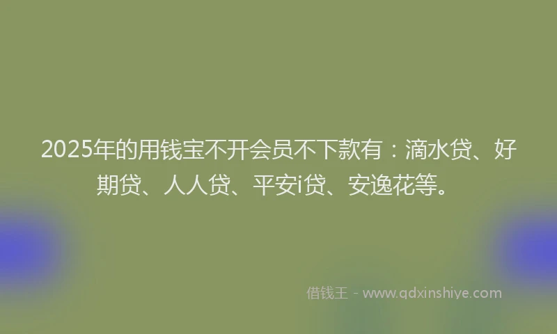 2025年的用钱宝不开会员不下款有：滴水贷、好期贷、人人贷、平安i贷、安逸花等。