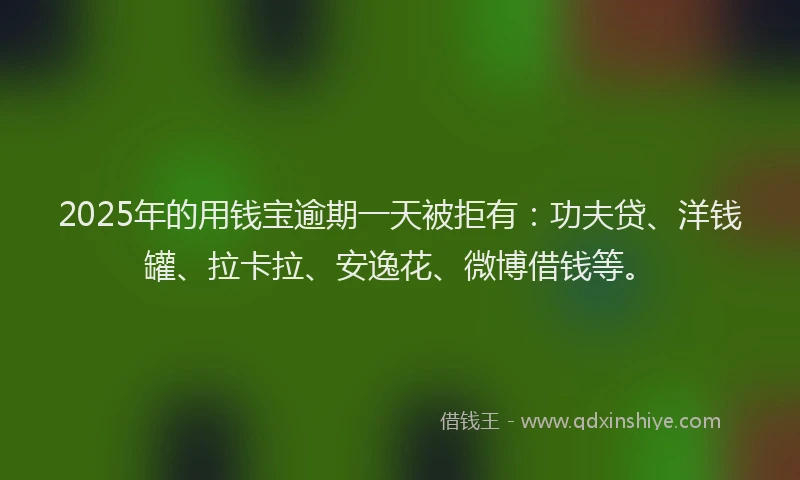 2025年的用钱宝逾期一天被拒有：功夫贷、洋钱罐、拉卡拉、安逸花、微博借钱等。