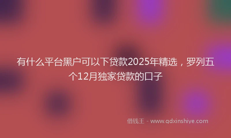 有什么平台黑户可以下贷款2025年精选，罗列五个12月独家贷款的口子