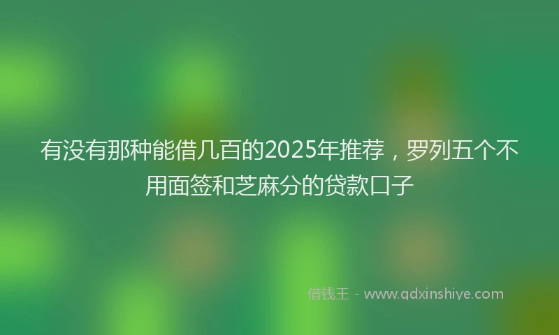 有没有那种能借几百的2025年推荐，罗列五个不用面签和芝麻分的贷款口子
