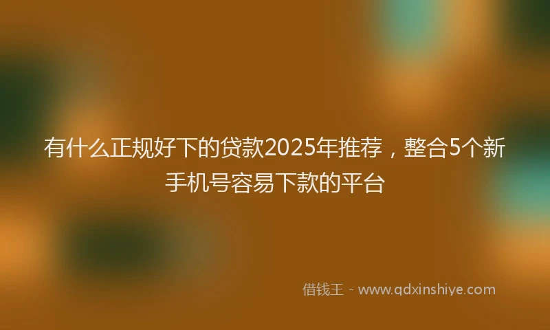 有什么正规好下的贷款2025年推荐，整合5个新手机号容易下款的平台