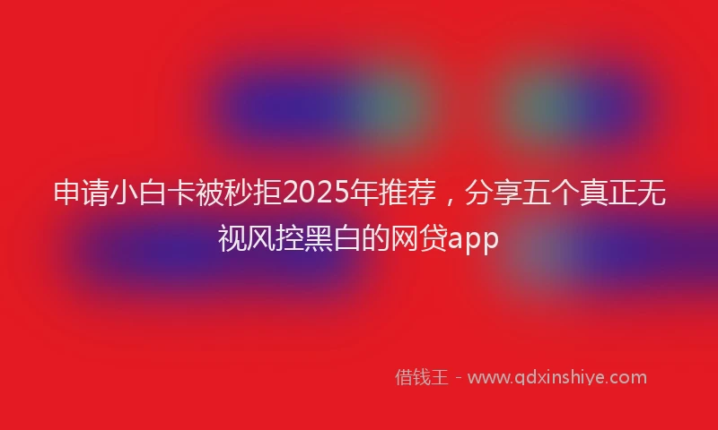 申请小白卡被秒拒2025年推荐，分享五个真正无视风控黑白的网贷app