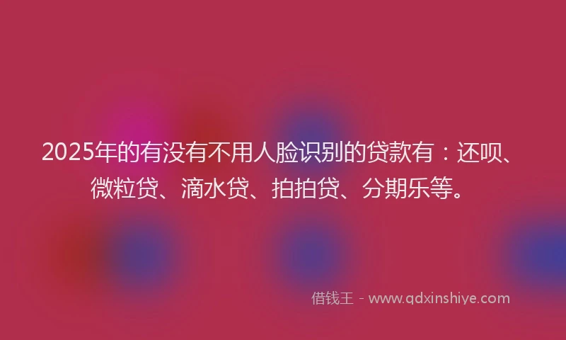 2025年的有没有不用人脸识别的贷款有：还呗、微粒贷、滴水贷、拍拍贷、分期乐等。