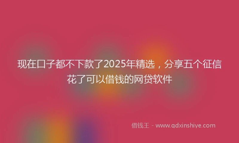 现在口子都不下款了2025年精选，分享五个征信花了可以借钱的网贷软件