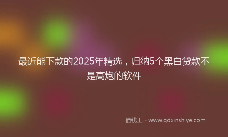 最近能下款的2025年精选，归纳5个黑白贷款不是高炮的软件