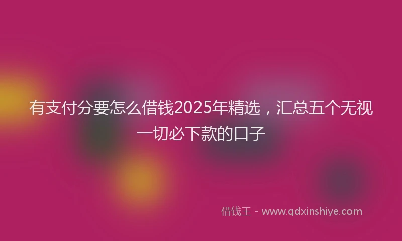 有支付分要怎么借钱2025年精选，汇总五个无视一切必下款的口子