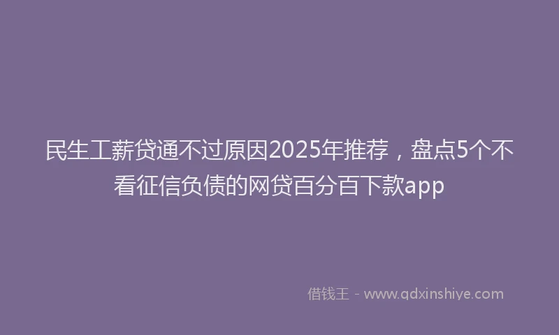 民生工薪贷通不过原因2025年推荐，盘点5个不看征信负债的网贷百分百下款app