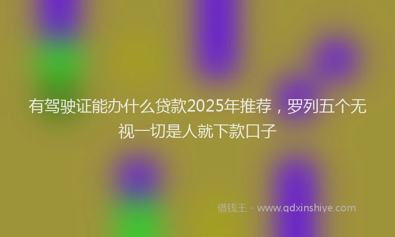 有驾驶证能办什么贷款2025年推荐，罗列五个无视一切是人就下款口子