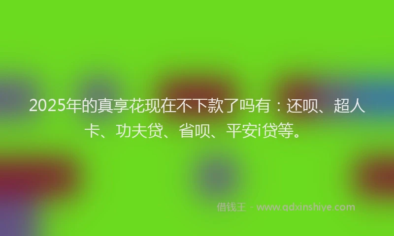 2025年的真享花现在不下款了吗有：还呗、超人卡、功夫贷、省呗、平安i贷等。