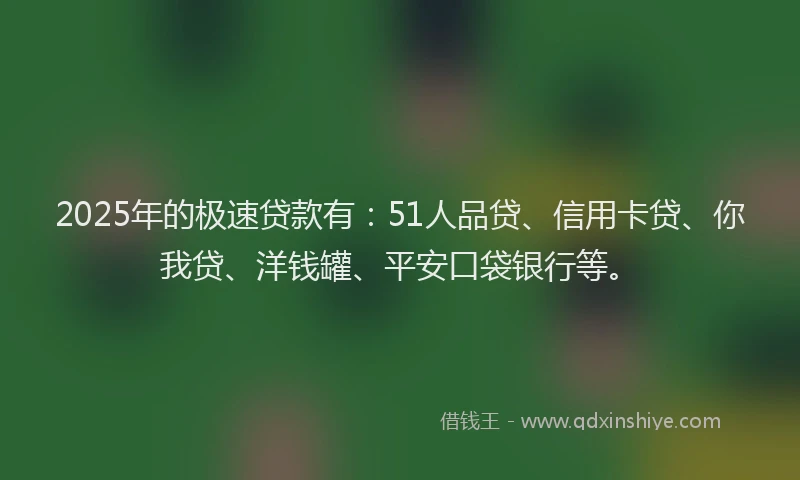 2025年的极速贷款有：51人品贷、信用卡贷、你我贷、洋钱罐、平安口袋银行等。