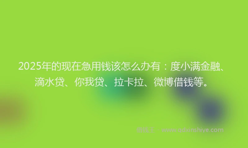 2025年的现在急用钱该怎么办有：度小满金融、滴水贷、你我贷、拉卡拉、微博借钱等。