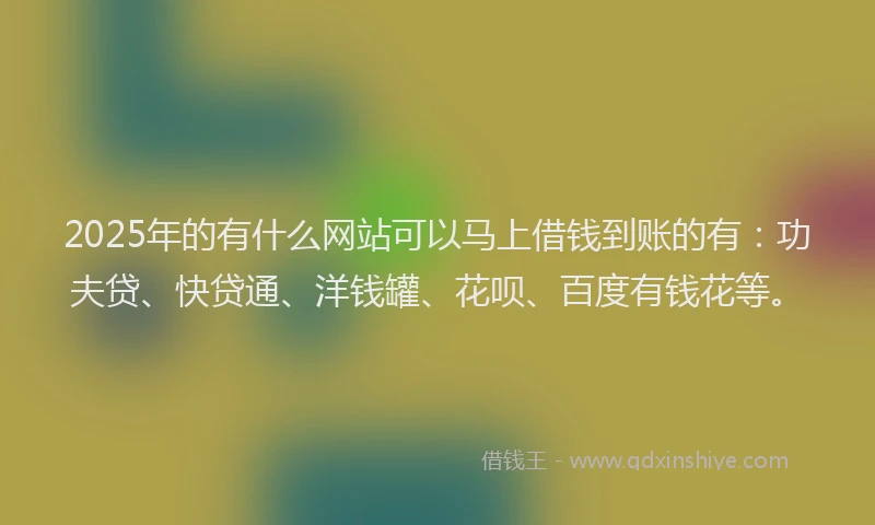 2025年的有什么网站可以马上借钱到账的有：功夫贷、快贷通、洋钱罐、花呗、百度有钱花等。