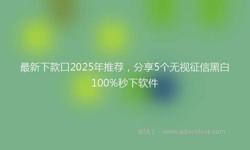 最新下款口2025年推荐，分享5个无视征信黑白100%秒下软件