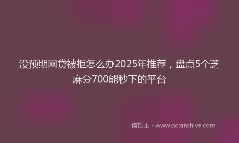 没预期网贷被拒怎么办2025年推荐，盘点5个芝麻分700能秒下的平台