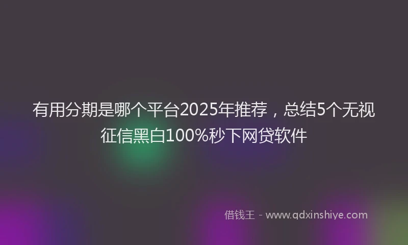 有用分期是哪个平台2025年推荐，总结5个无视征信黑白100%秒下网贷软件