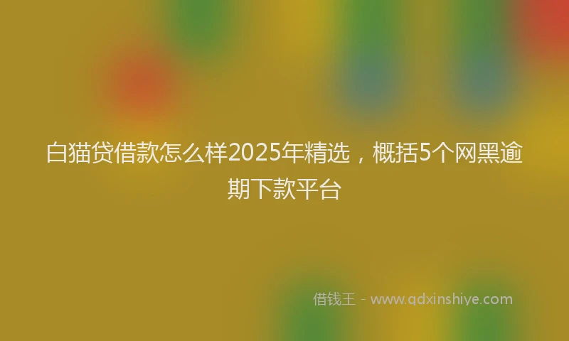 白猫贷借款怎么样2025年精选，概括5个网黑逾期下款平台