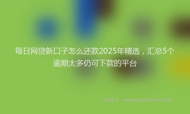 每日网贷新口子怎么还款2025年精选，汇总5个逾期太多仍可下款的平台