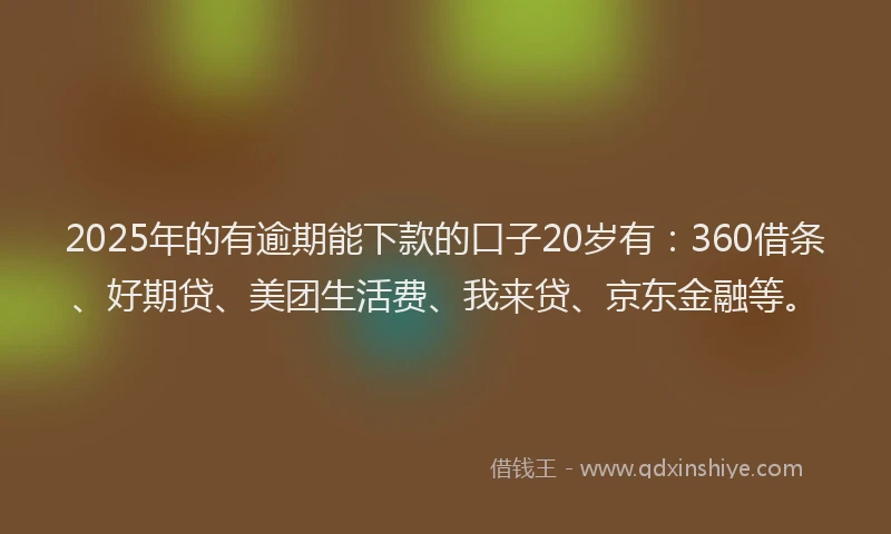 2025年的有逾期能下款的口子20岁有：360借条、好期贷、美团生活费、我来贷、京东金融等。