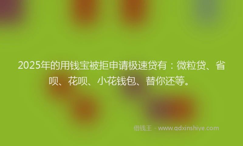 2025年的用钱宝被拒申请极速贷有：微粒贷、省呗、花呗、小花钱包、替你还等。