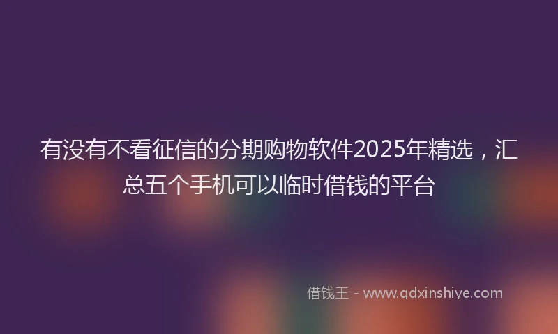 有没有不看征信的分期购物软件2025年精选，汇总五个手机可以临时借钱的平台