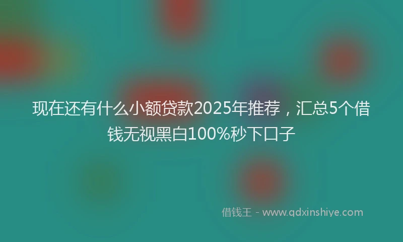 现在还有什么小额贷款2025年推荐，汇总5个借钱无视黑白100%秒下口子