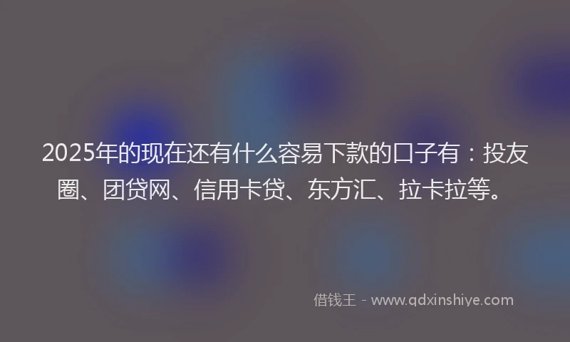 2025年的现在还有什么容易下款的口子有：投友圈、团贷网、信用卡贷、东方汇、拉卡拉等。