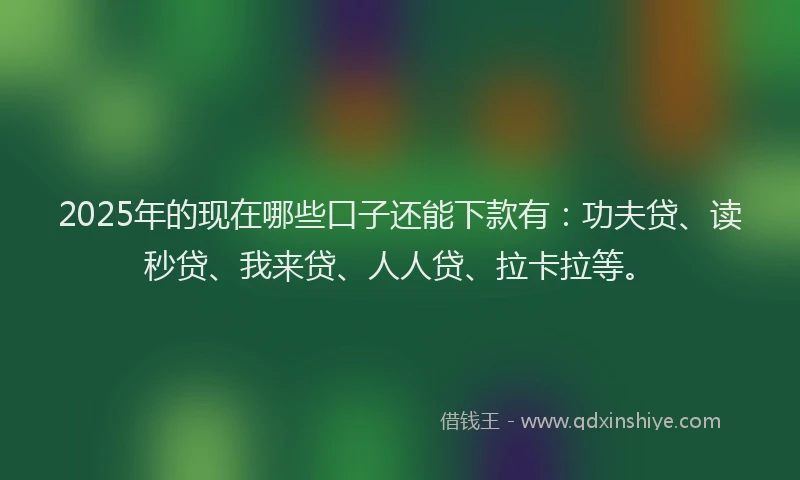 2025年的现在哪些口子还能下款有：功夫贷、读秒贷、我来贷、人人贷、拉卡拉等。