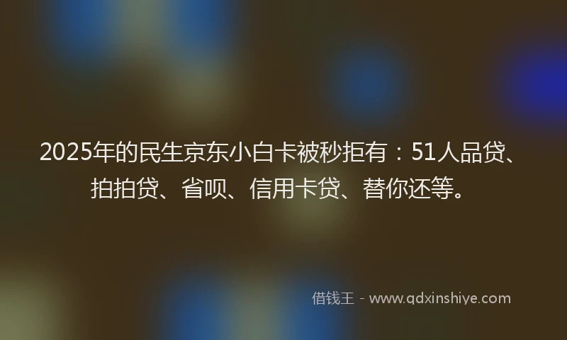 2025年的民生京东小白卡被秒拒有：51人品贷、拍拍贷、省呗、信用卡贷、替你还等。