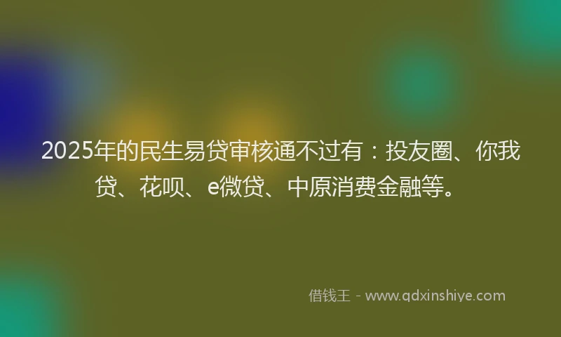 2025年的民生易贷审核通不过有：投友圈、你我贷、花呗、e微贷、中原消费金融等。