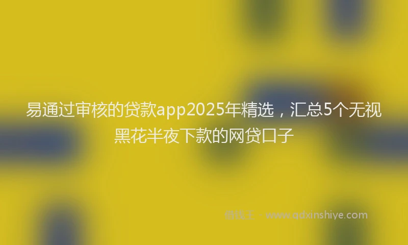 易通过审核的贷款app2025年精选，汇总5个无视黑花半夜下款的网贷口子