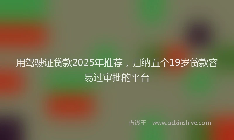 用驾驶证贷款2025年推荐，归纳五个19岁贷款容易过审批的平台