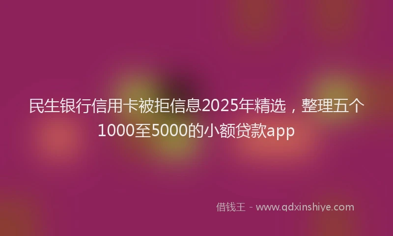 民生银行信用卡被拒信息2025年精选，整理五个1000至5000的小额贷款app