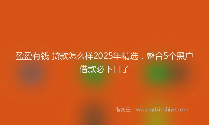 盈盈有钱 贷款怎么样2025年精选，整合5个黑户借款必下口子