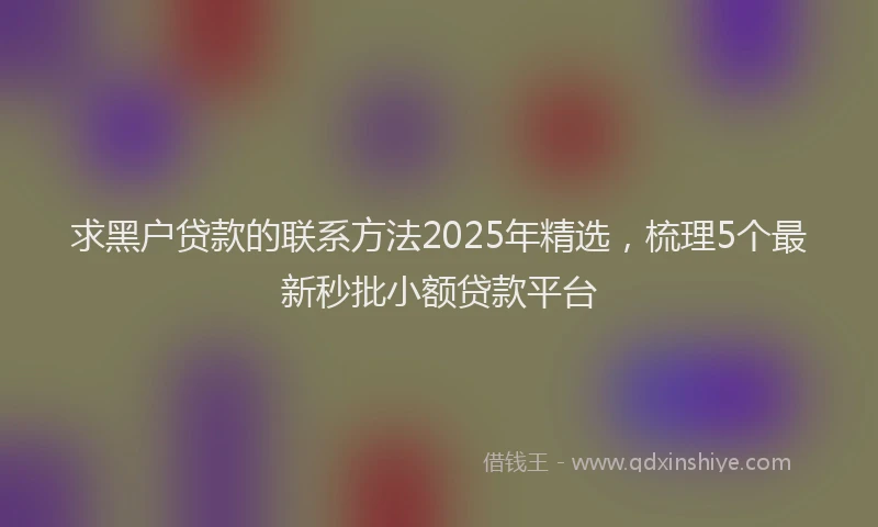 求黑户贷款的联系方法2025年精选，梳理5个最新秒批小额贷款平台