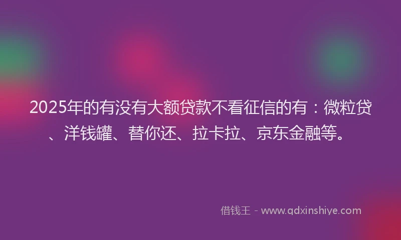 2025年的有没有大额贷款不看征信的有：微粒贷、洋钱罐、替你还、拉卡拉、京东金融等。