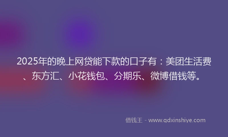 2025年的晚上网贷能下款的口子有：美团生活费、东方汇、小花钱包、分期乐、微博借钱等。