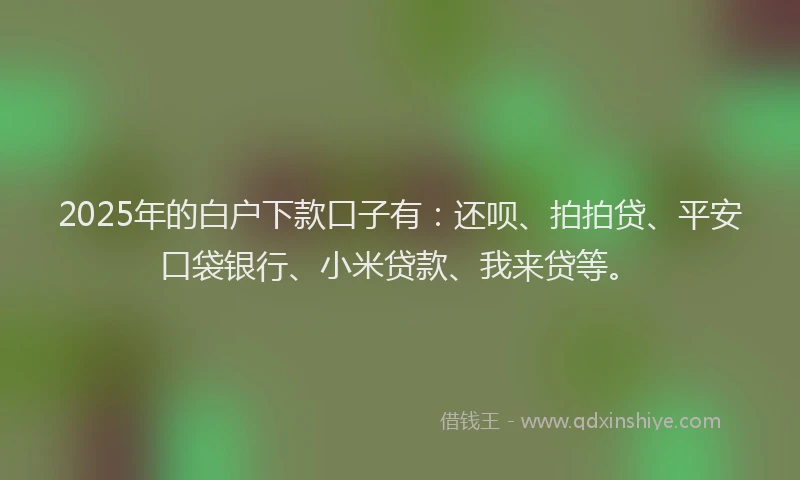 2025年的白户下款口子有：还呗、拍拍贷、平安口袋银行、小米贷款、我来贷等。
