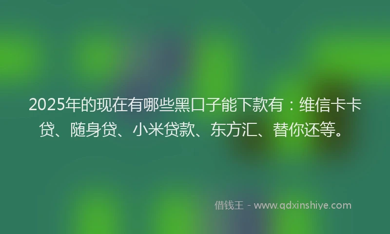 2025年的现在有哪些黑口子能下款有：维信卡卡贷、随身贷、小米贷款、东方汇、替你还等。