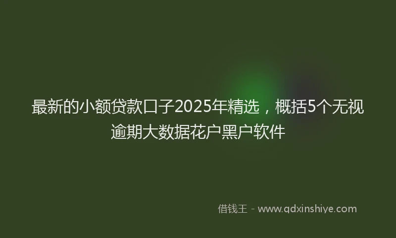 最新的小额贷款口子2025年精选，概括5个无视逾期大数据花户黑户软件