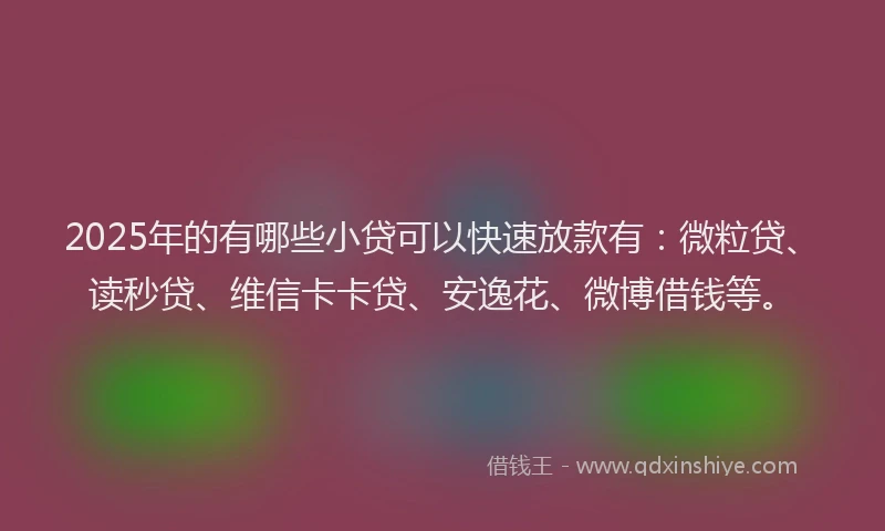 2025年的有哪些小贷可以快速放款有：微粒贷、读秒贷、维信卡卡贷、安逸花、微博借钱等。
