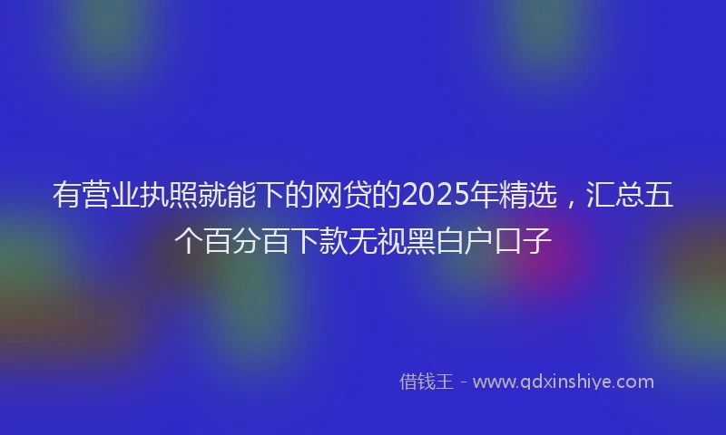 有营业执照就能下的网贷的2025年精选，汇总五个百分百下款无视黑白户口子